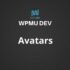 Avatars For Multisite