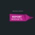 Awesome Support Report Widget