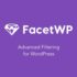FacetWP Polylang