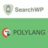 SearchWP Polylang Integration